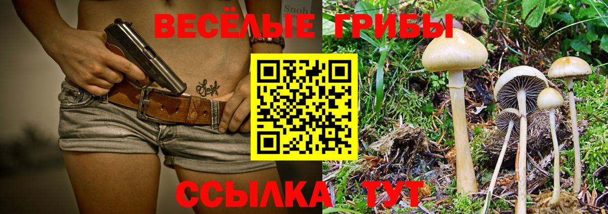 Псилоцибиновые грибы прущие грибы  Галлюциногенные грибы ЛСД  Донецк  Вход с VPN 